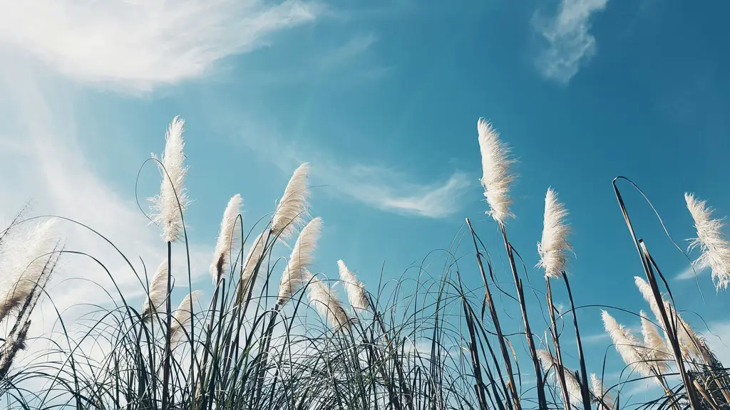 寂寞難耐，怎麼辦？台灣人面對寂寞的求生指南